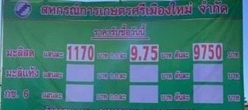 “ชาวนา” ปลุกม็อบบุกทำเนียบ ทวงประกันรายได้ข้าว + ค่าเก็บเกี่ยว ไร่ละ 1,000 บาท