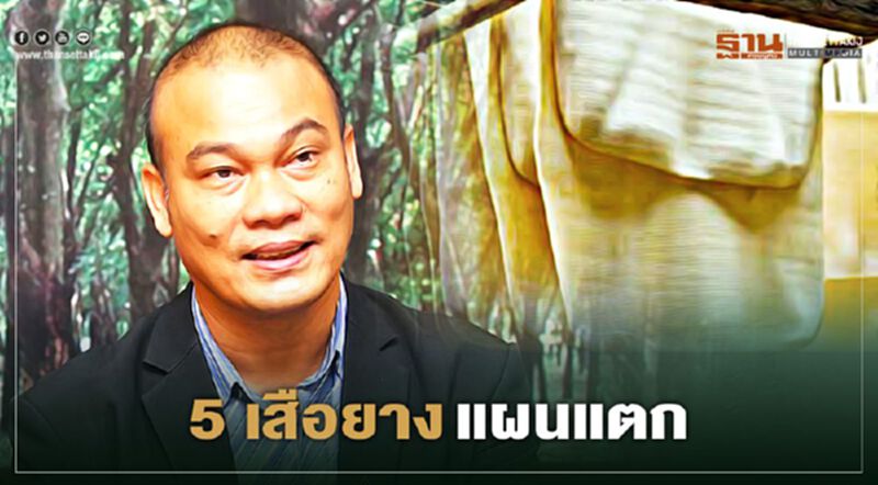 สกัดแผน 5 เสือ ทุบราคายางแผ่น สกัดแผน 5 เสือ ทุบราคายางแผ่น