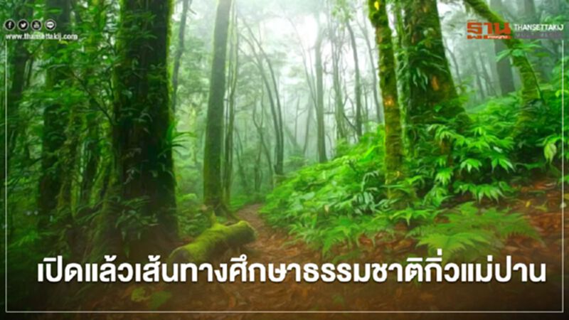 รับลมหนาว เส้นทางศึกษาธรรมชาติกิ่วแม่ปานเปิดแล้ว รับลมหนาว เส้นทางศึกษาธรรมชาติกิ่วแม่ปานเปิดแล้ว