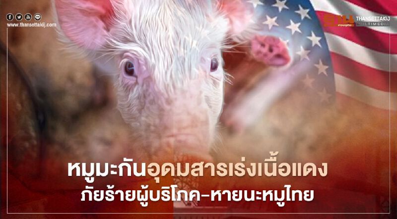 หมูมะกันอุดมสารเร่งเนื้อแดง  ภัยร้ายผู้บริโภค-หายนะหมูไทย