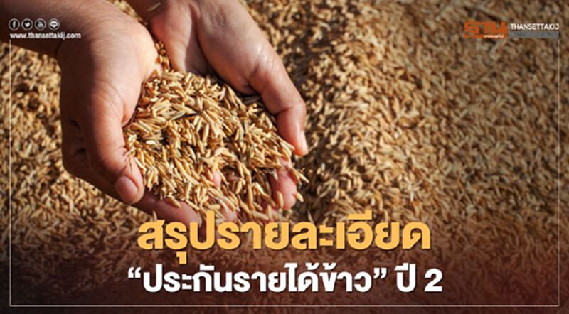 "ประกันรายได้ข้าว" ปี 2 เช็กที่นี่ สรุปครบจบที่เดียว "ประกันรายได้ข้าว" ปี 2 เช็กที่นี่ สรุปครบจบที่เดียว