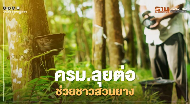  ครม.เคาะหมื่นล้าน "ประกันรายได้ยางพารา" กว่า 1.8 ล้านราย