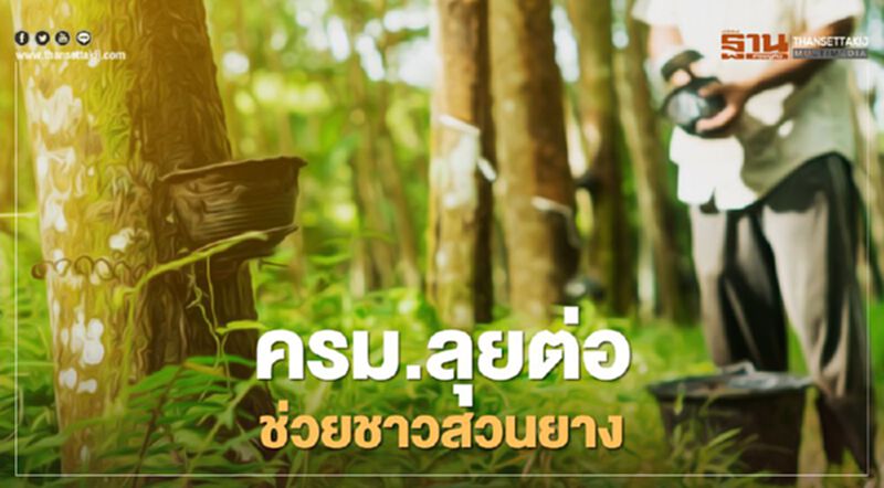 ครม.เคาะหมื่นล้าน "ประกันรายได้ยางพารา" กว่า 1.8 ล้านราย ครม.เคาะหมื่นล้าน "ประกันรายได้ยางพารา" กว่า 1.8 ล้านราย