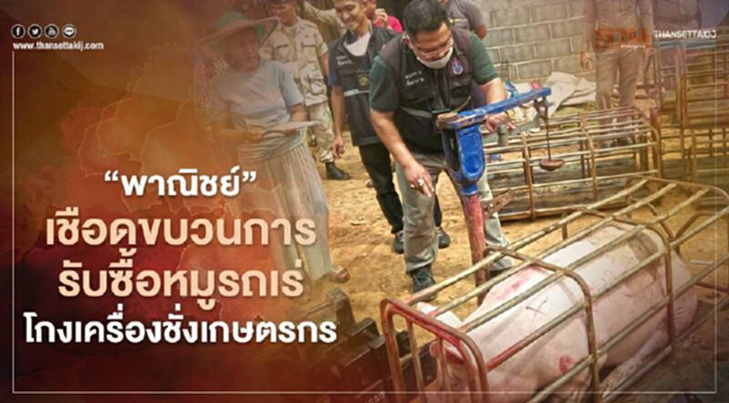 "พาณิชย์”เชือดขบวนการรับซื้อหมูรถเร่ โกงเครื่องชั่งเกษตรกร "พาณิชย์”เชือดขบวนการรับซื้อหมูรถเร่ โกงเครื่องชั่งเกษตรกร