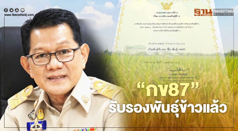 “กข87” ชาวนาสมหวัง รับรองพันธุ์ข้าว