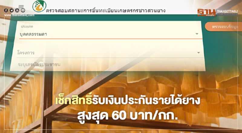 ตรวจสอบสิทธิ์ “ประกันรายได้ยาง” สูงสุด 60 บาท/กก. รับเงิน วันไหน เช็กที่นี่ ตรวจสอบสิทธิ์ “ประกันรายได้ยาง” สูงสุด 60 บาท/กก. รับเงิน วันไหน เช็กที่นี่
