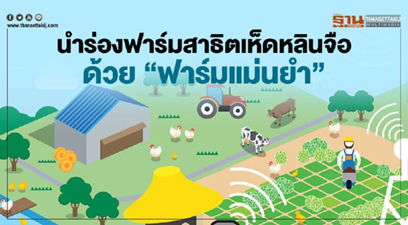 นำร่องฟาร์มสาธิตเห็ดหลินจือด้วย“ฟาร์มแม่นยำ” นำร่องฟาร์มสาธิตเห็ดหลินจือด้วย“ฟาร์มแม่นยำ”