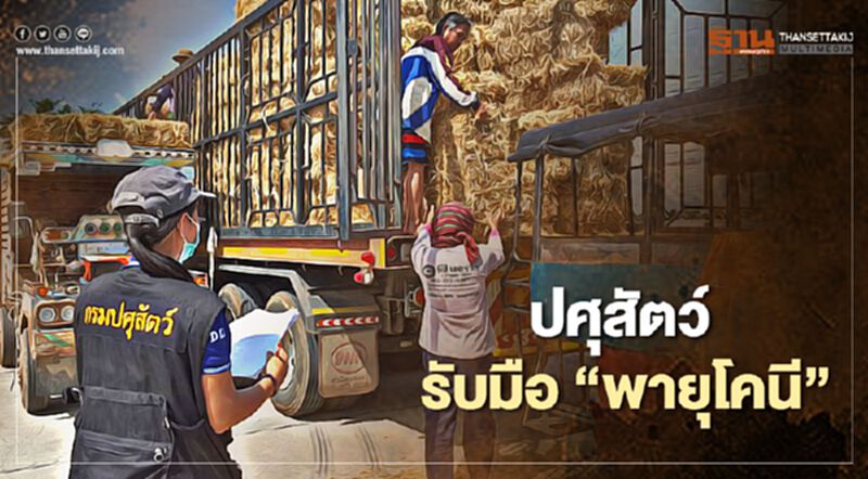 ปศุสัตว์ รับมือ "พายุโคนี" ปศุสัตว์ รับมือ "พายุโคนี"