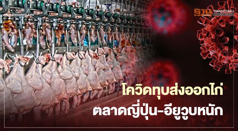 โควิดทุบส่งออกไก่ ตลาดญี่ปุ่น-อียูวูบหนัก หวังทั้งปีแค่แสนล้าน