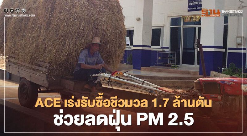 ACE เปิดรับซื้อชีวมวลกว่า 50 ชนิด 1.7 ล้านตัน เข้าโรงไฟฟ้า ช่วยลดฝุ่น PM 2.5  