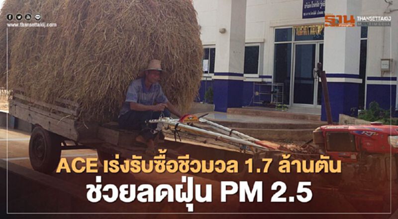 ACE เปิดรับซื้อชีวมวลกว่า 50 ชนิด 1.7 ล้านตัน เข้าโรงไฟฟ้า ช่วยลดฝุ่น PM 2.5 ACE เปิดรับซื้อชีวมวลกว่า 50 ชนิด 1.7 ล้านตัน เข้าโรงไฟฟ้า ช่วยลดฝุ่น PM 2.5