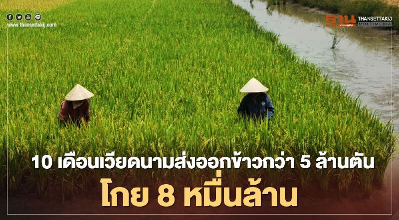 10 เดือนแรกของปีนี้ เวียดนามส่งออกข้าวมากกว่า 5 ล้านตัน โกยรายได้กว่า 8 หมื่นล้าน