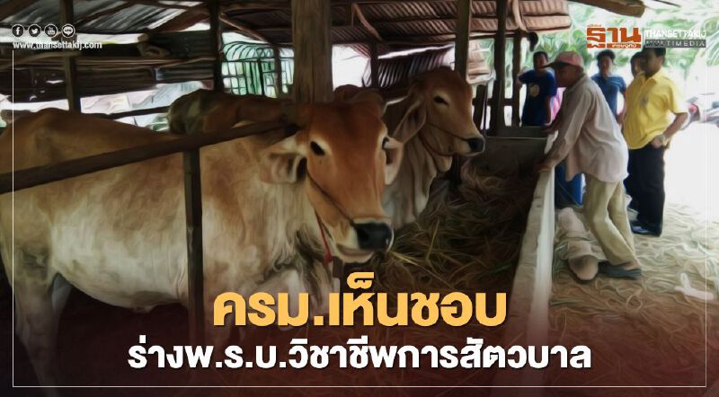 ส่อง 6 ประเด็น "ร่างพ.ร.บ.วิชาชีพการสัตวบาล" ครม.เห็นชอบส่งข้าสภาฯ 