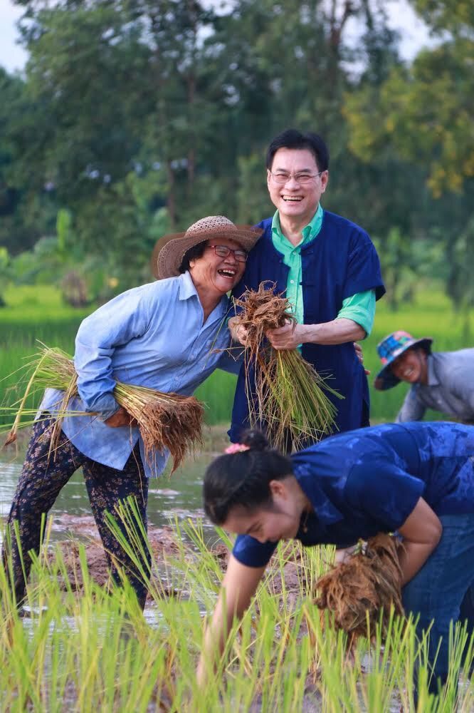 ชาวนาเฮลั่นประกันข้าวปี 2  ชดเชยหอมมะลิตันละ 2,900 