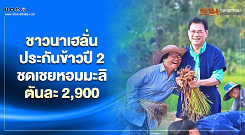 ชาวนาเฮลั่นประกันข้าวปี 2 ชดเชยหอมมะลิตันละ 2,900 ชาวนาเฮลั่นประกันข้าวปี 2 ชดเชยหอมมะลิตันละ 2,900