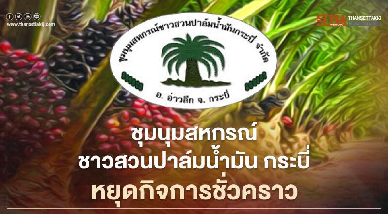 ชุมนุมสหกรณ์ชาวสวนปาล์มน้ำมันกระบี่ หยุดกิจการชั่วคราว ขาดสภาพคล่อง ชุมนุมสหกรณ์ชาวสวนปาล์มน้ำมันกระบี่ หยุดกิจการชั่วคราว ขาดสภาพคล่อง