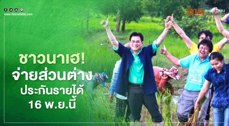 ชาวนาเฮ!  จ่ายส่วนต่าง  ประกันรายได้ข้าว 16 พ.ย.นี้
