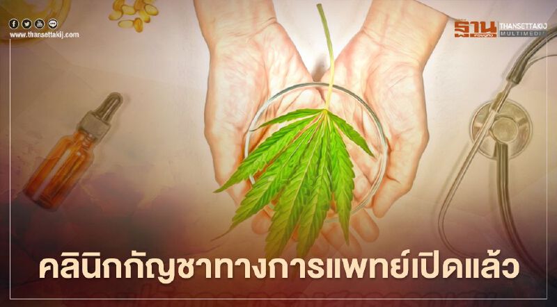 คลินิกกัญชาทางการแพทย์เปิดแล้วกว่า 300 แห่งทั่วปท. 