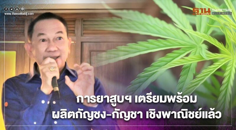 การยาสูบ เตรียมพร้อมผลิตกัญชง-กัญชา เชิงพาณิชย์แล้ว 