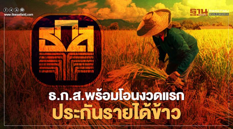 เช็กที่นี่ ธ.ก.ส.พร้อมโอนเงินงวดแรก “ประกันรายได้ข้าว” กลางเดือน พ.ย.นี้ เช็กที่นี่ ธ.ก.ส.พร้อมโอนเงินงวดแรก “ประกันรายได้ข้าว” กลางเดือน พ.ย.นี้