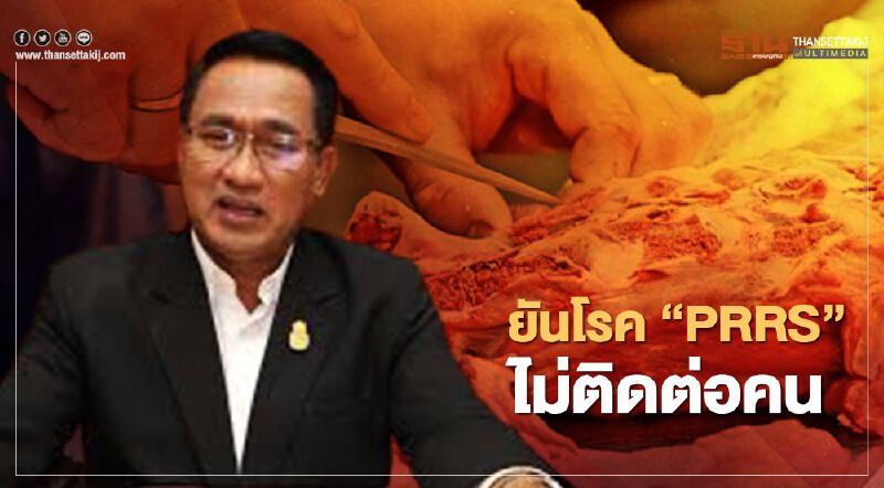 อธิบดีกรมปศุสัตว์ ยันโรค "PRRS" ไม่ติดต่อคน อธิบดีกรมปศุสัตว์ ยันโรค "PRRS" ไม่ติดต่อคน