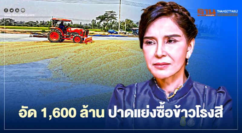 อัด 1,600 ล้าน "สหกรณ์" ปาดแย่งซื้อข้าวโรงสี อัด 1,600 ล้าน "สหกรณ์" ปาดแย่งซื้อข้าวโรงสี