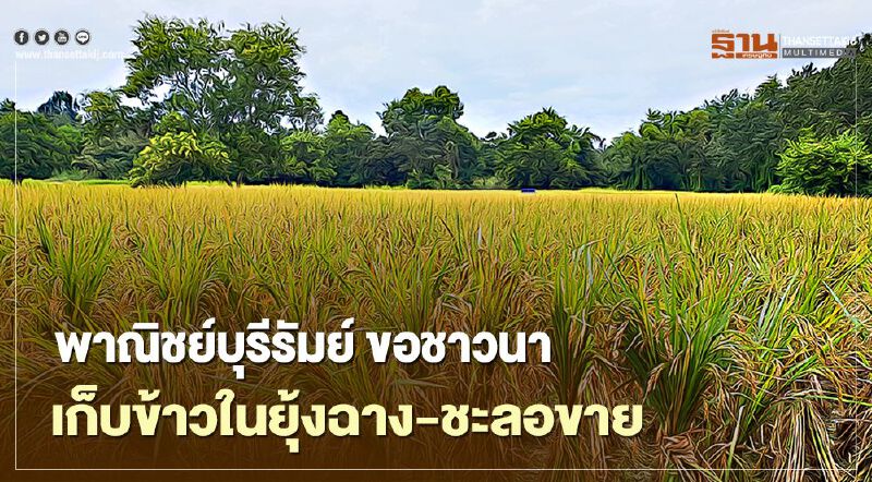 พาณิชย์บุรีรัมย์ ขอชาวนา เก็บข้าวในยุ้งฉาง-ชะลอขาย พาณิชย์บุรีรัมย์ ขอชาวนา เก็บข้าวในยุ้งฉาง-ชะลอขาย