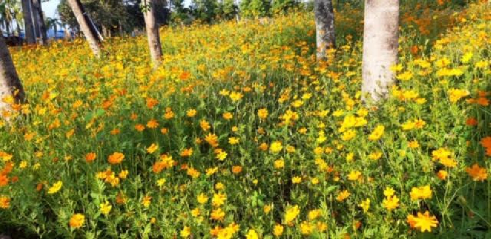 ‘ลำปาง-ลำพูน’แพ็กคู่ชวนเที่ยว ‘แอ่วม่วนกิ๋นลำ’ต้อนรับลมหนาว