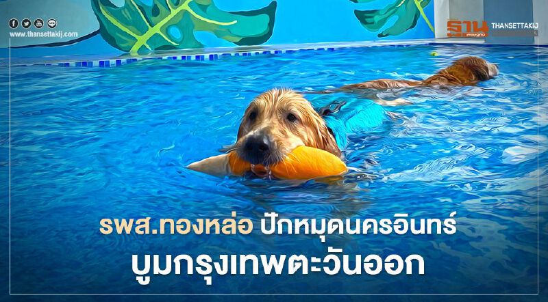 รพส.ทองหล่อ ปักหมุดนครอินทร์ เจาะคนรักสัตว์โซนกรุงเทพตะวันออก