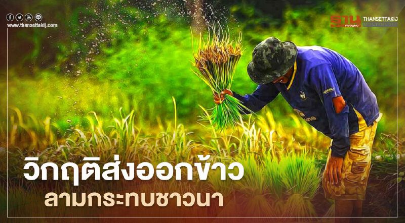 วิกฤติส่งออกข้าว ลามกระทบชาวนา ทางออกที่ต้องเร่งแก้ วิกฤติส่งออกข้าว ลามกระทบชาวนา ทางออกที่ต้องเร่งแก้