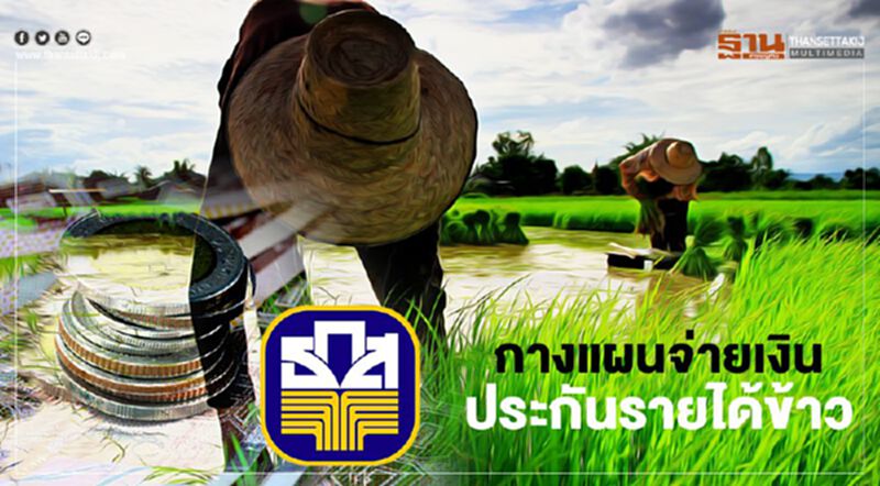 เช็กที่นี่ "ประกันรายได้ข้าว" ตรวจสอบเงิน ธ.ก.ส. พร้อมจ่าย ให้ชาวนา เช็กที่นี่ "ประกันรายได้ข้าว" ตรวจสอบเงิน ธ.ก.ส. พร้อมจ่าย ให้ชาวนา