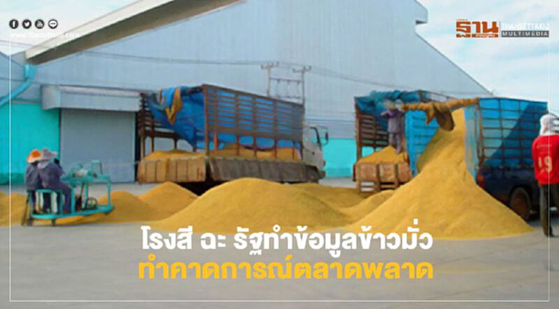 โรงสี เซ็งข้อมูลข้าวมั่ว ทำคาดการณ์ตลาดพลาด โรงสี เซ็งข้อมูลข้าวมั่ว ทำคาดการณ์ตลาดพลาด