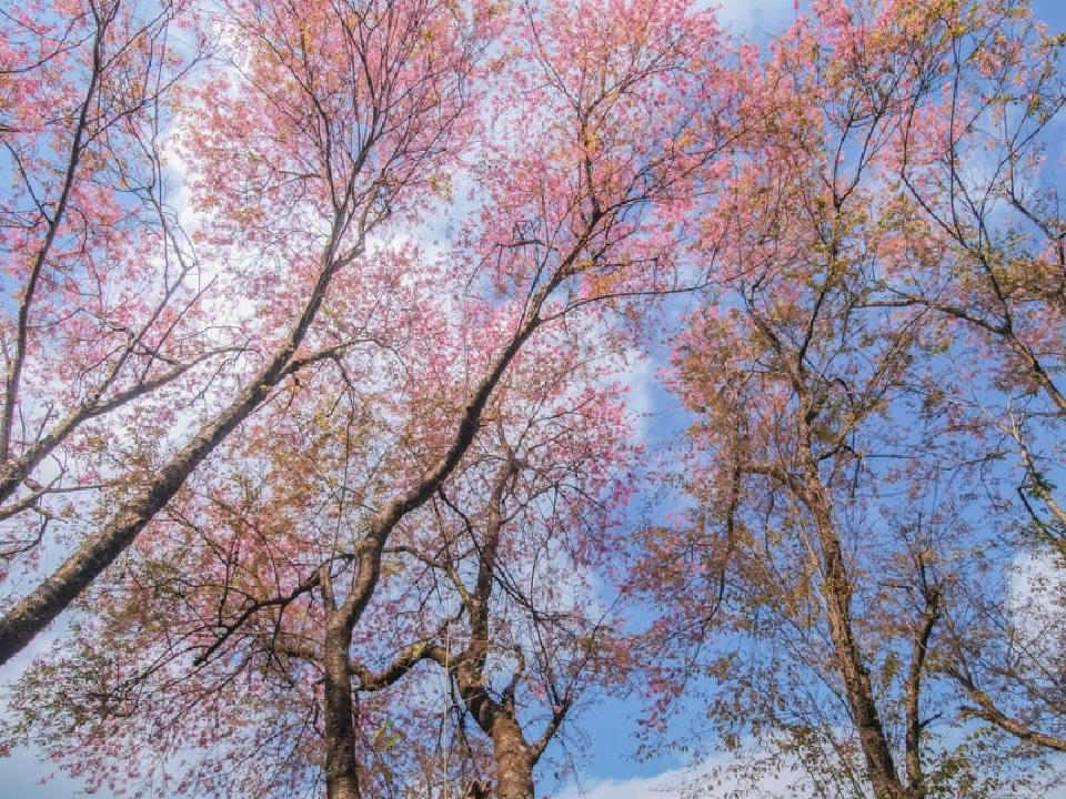 วันหยุดยาว แนะ 6 ที่เที่ยวเมืองไทย ได้ฟีลเมืองนอก