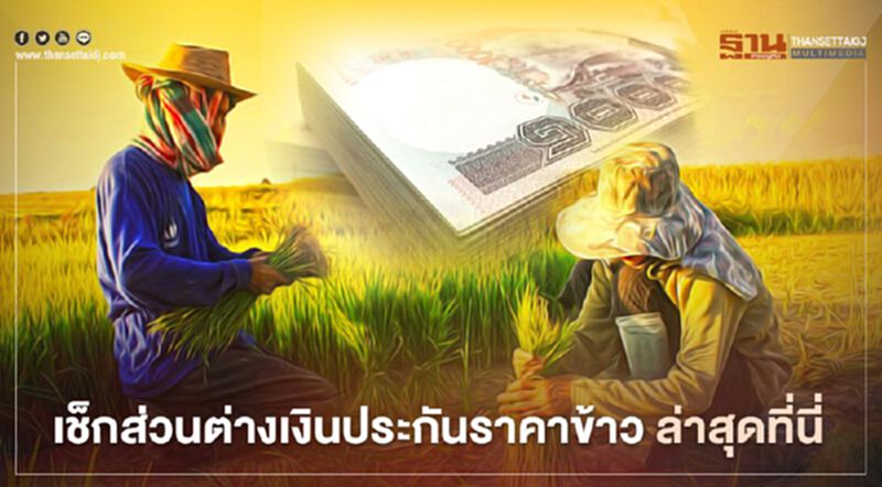 "ประกันราคาข้าว" เช็ก เงินส่วนต่าง “ประกันรายได้ข้าว”ล่าสุดที่นี่ "ประกันราคาข้าว" เช็ก เงินส่วนต่าง “ประกันรายได้ข้าว”ล่าสุดที่นี่