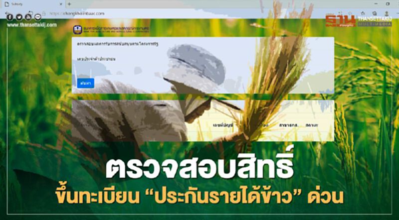 “ประกันรายได้ข้าว” แนะเกษตรกร ตรวจสอบสิทธิ์ขึ้นทะเบียน ด่วน “ประกันรายได้ข้าว” แนะเกษตรกร ตรวจสอบสิทธิ์ขึ้นทะเบียน ด่วน
