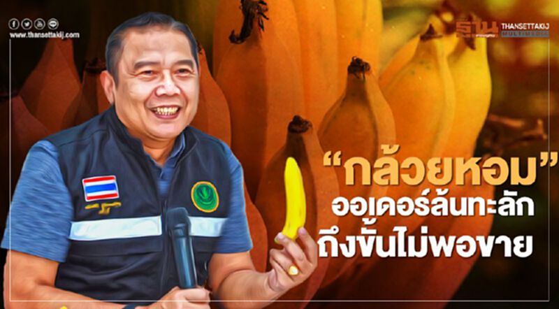 “กล้วยหอม” ออเดอร์ล้นทะลักถึงขั้นไม่พอขาย “กล้วยหอม” ออเดอร์ล้นทะลักถึงขั้นไม่พอขาย