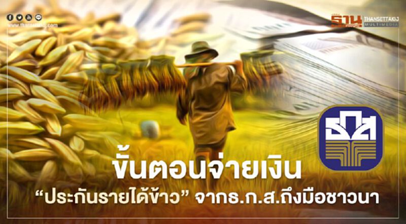 “ประกันรายได้ข้าว” ธ.ก.ส.แจงยิบ ขั้นตอนการจ่ายเงินให้ถึงมือชาวนา “ประกันรายได้ข้าว” ธ.ก.ส.แจงยิบ ขั้นตอนการจ่ายเงินให้ถึงมือชาวนา