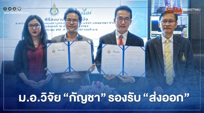 ม.อ.จับมือ"แคนนาญา"วิจัยกัญชา10ปีมุ่ง"ส่งออก"