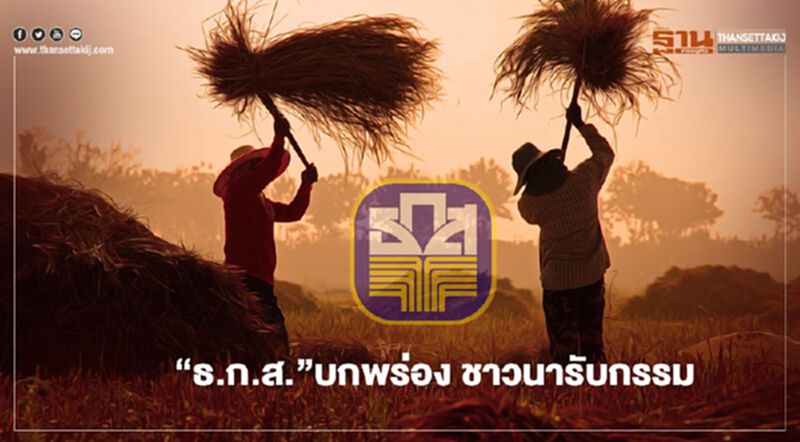 ชาวนา "ข้าวหอมปทุม" โวยเรียกคืนส่วนต่าง “ประกันรายได้" เกิน ชาวนา "ข้าวหอมปทุม" โวยเรียกคืนส่วนต่าง “ประกันรายได้" เกิน