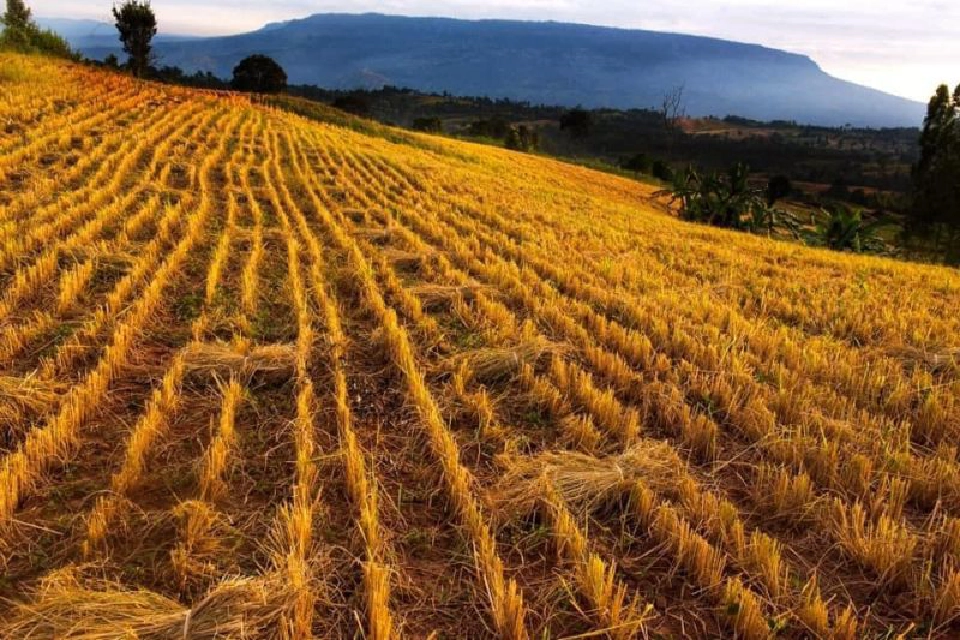 10เหตุผลต้องไม่พลาด...หนาวนี้ที่"น้ำหนาว"