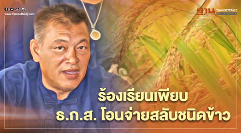 “ประกันรายได้” ร้องเรียนเพียบ ธ.ก.ส. โอนจ่ายสลับชนิดข้าว “ประกันรายได้” ร้องเรียนเพียบ ธ.ก.ส. โอนจ่ายสลับชนิดข้าว