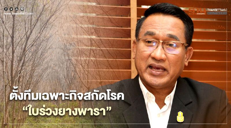 ตั้งทีมเฉพาะกิจสกัดโรค “ใบร่วงยางพารา”