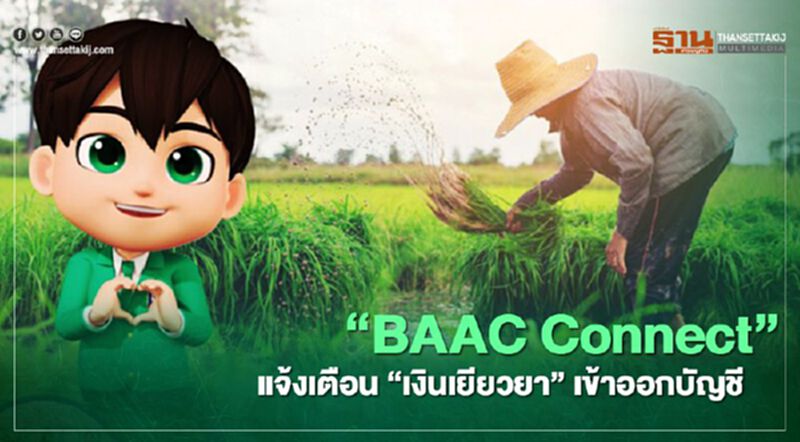 ทำความรู้จัก “BAAC Connect” บริการแจ้งเตือนเงิน “ประกันรายได้ข้าว” ทำความรู้จัก “BAAC Connect” บริการแจ้งเตือนเงิน “ประกันรายได้ข้าว”