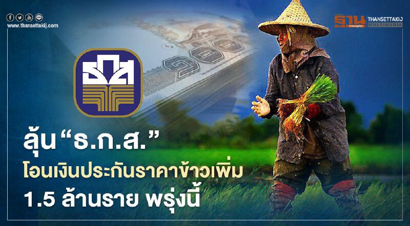 1.5 ล้านราย รอลุ้น 19 พ.ย. ธ.ก.ส. จ่ายเงิน "ประกันรายได้ข้าว" งวด 2 1.5 ล้านราย รอลุ้น 19 พ.ย. ธ.ก.ส. จ่ายเงิน "ประกันรายได้ข้าว" งวด 2