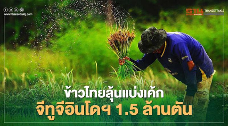ข้าวไทยลุ้นแบ่งเค้ก จีทูจีอินโดฯ1.5ล้านตัน ข้าวไทยลุ้นแบ่งเค้ก จีทูจีอินโดฯ1.5ล้านตัน