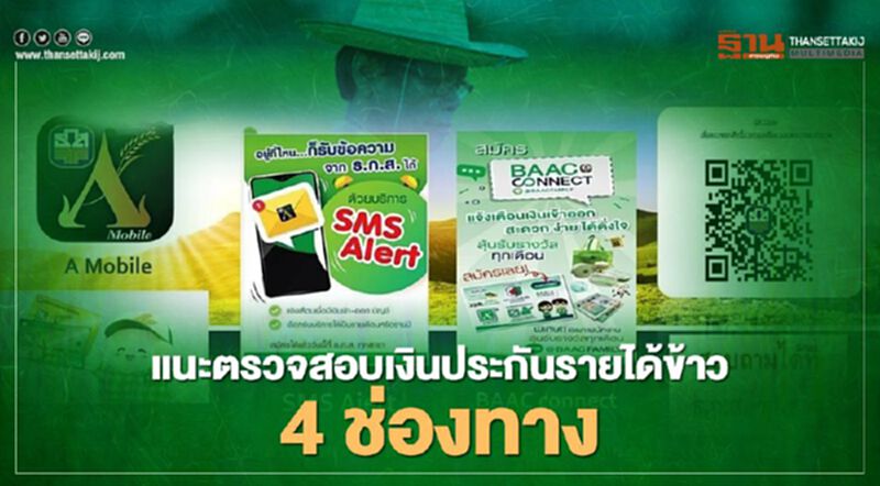 ธ.ก.ส.แนะเกษตรกรตรวจสอบสิทธิโอนเงินประกันรายได้ข้าว ผ่าน 4 ช่องทาง ธ.ก.ส.แนะเกษตรกรตรวจสอบสิทธิโอนเงินประกันรายได้ข้าว ผ่าน 4 ช่องทาง