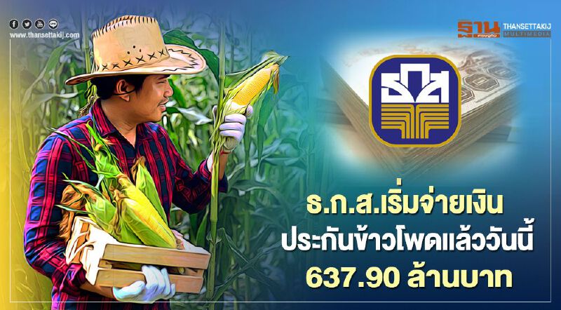 ธ.ก.ส.เริ่มจ่ายเงินประกันข้าวโพดแล้ววันนี้  637.90 ล้านบาท