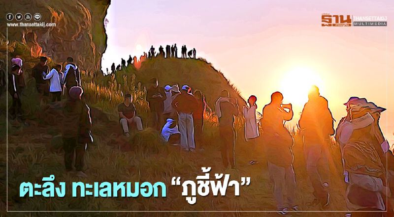 ไม่ผิดหวัง ภูชี้ฟ้า9องศานักท่องเที่ยวพรึดชม"ทะเลหมอก"