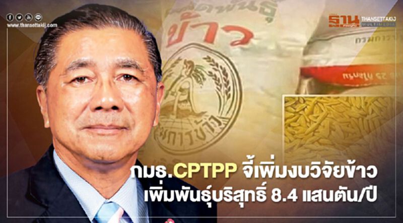 กมธ.CPTPP จี้เพิ่มงบวิจัยข้าว เพิ่มพันธุ์บริสุทธิ์ 8.4 แสนตัน/ปี กมธ.CPTPP จี้เพิ่มงบวิจัยข้าว เพิ่มพันธุ์บริสุทธิ์ 8.4 แสนตัน/ปี