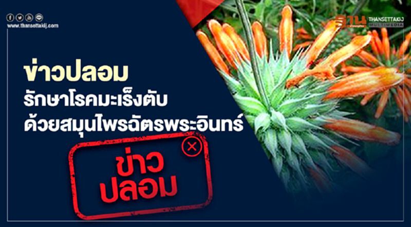 ข่าวปลอม รักษาโรคมะเร็งตับ ด้วยสมุนไพรฉัตรพระอินทร์ ข่าวปลอม รักษาโรคมะเร็งตับ ด้วยสมุนไพรฉัตรพระอินทร์